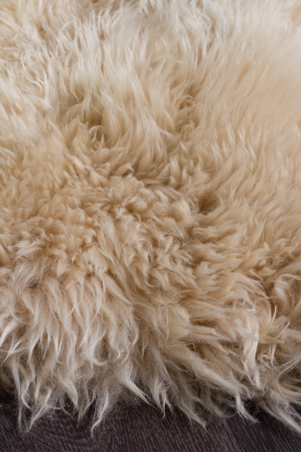 Natural New Zealand Sheep Skin - Champagne